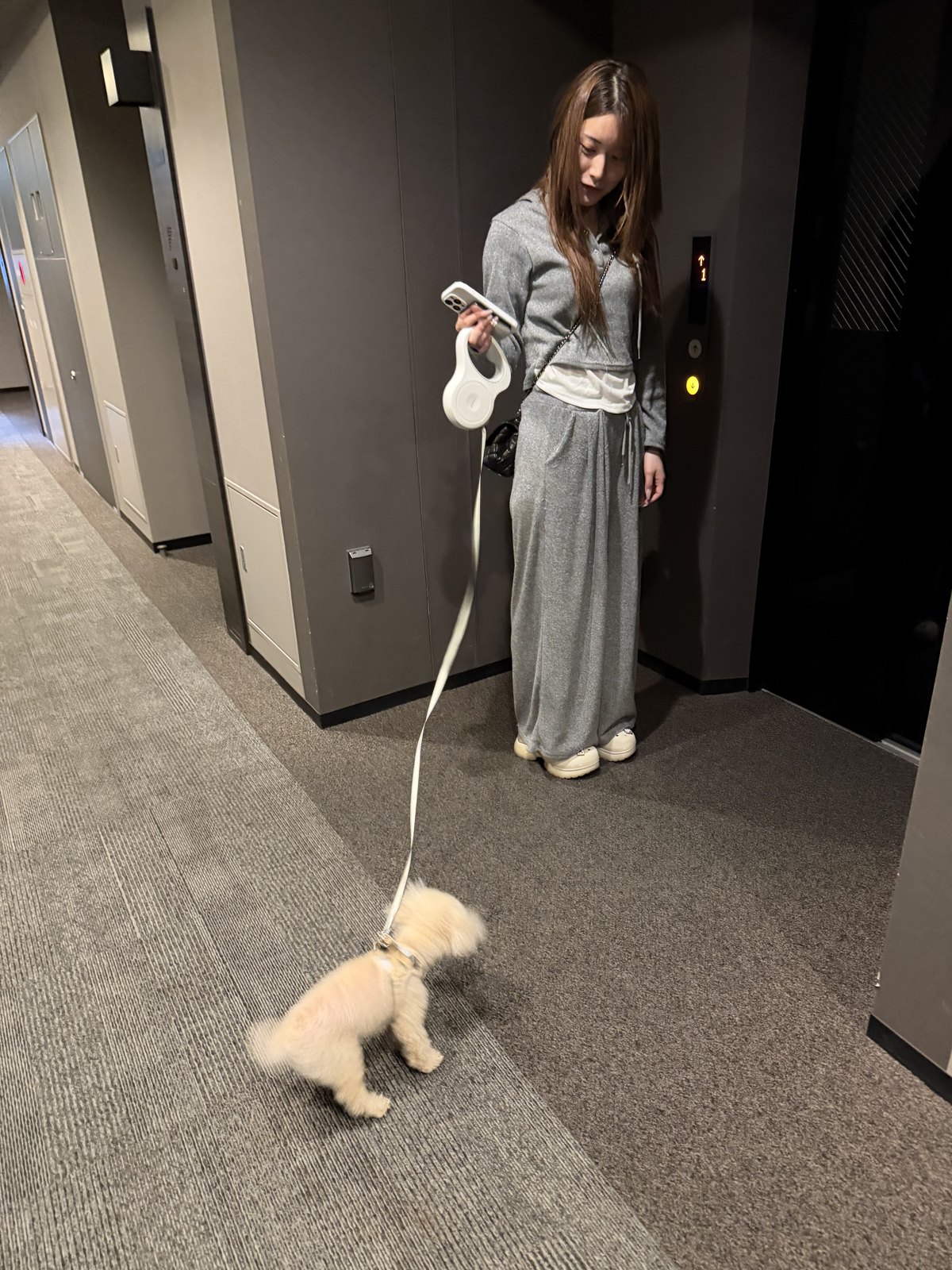 sana の愛犬